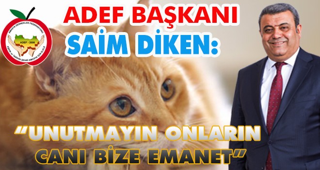 SAİM DİKEN:UNUTMAYIN ONLARIN CANI BİZE EMANET