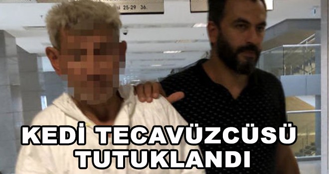 KEDİ TECAVÜZCÜSÜ  TUTUKLANDI