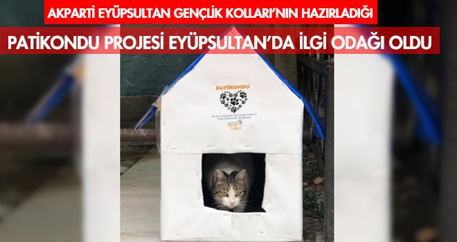 Patikondu Eyüpsultan'da ilgi odağı oldu