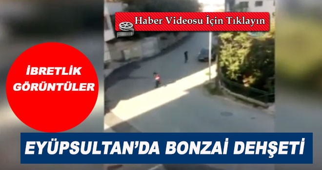 Eyüpsultan'da Bonzai dehşeti