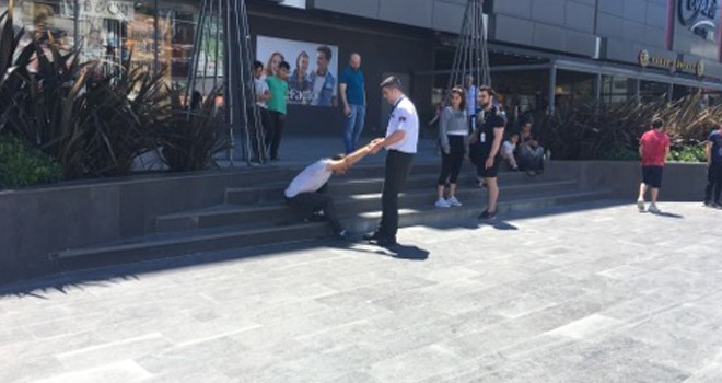 BONZAİ ALİBEYKÖY'DE