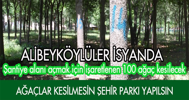 ALİBEYKÖYLÜLER İSYANDA
