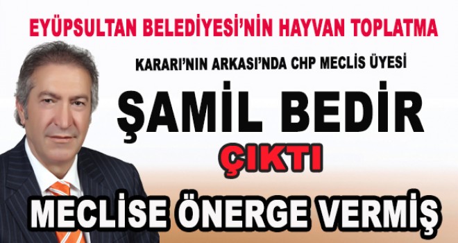 KÖPEK TOPLAMA KARARI’NIN ARKASINDA CHP ÇIKTI