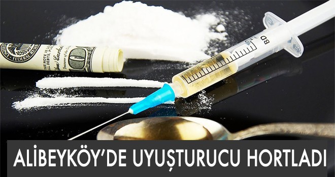 ALİBEYKÖY’DE UYUŞTURUCU HORTLADI