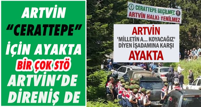 Artvin Cerattepe için ayakta
