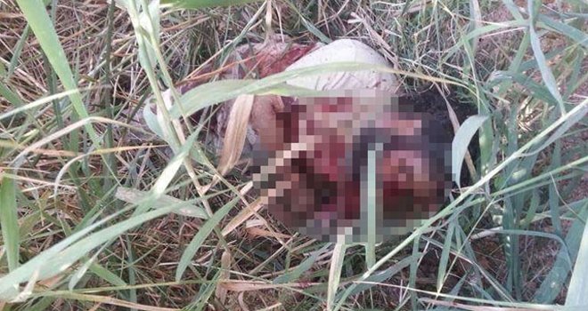 'Astsubayı şehit eden IŞİD'li Mısır uyruklu'