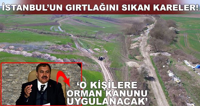 Bakan Eroğlu: O kişilere Orman Kanunu uygulanacak