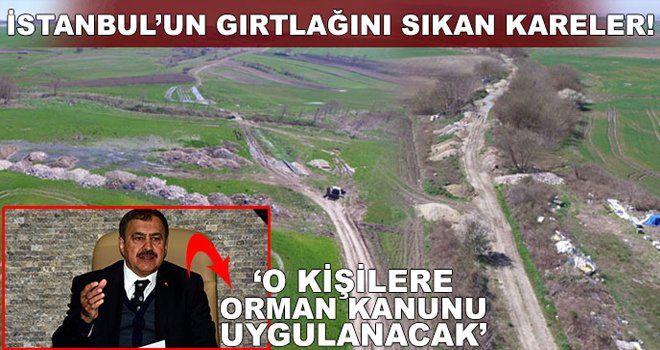 Bakan Eroğlu: O kişilere Orman Kanunu uygulanacak