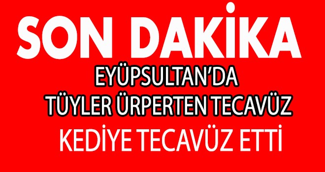 Eyüpsultan'da tüyler ürperten tecavüz iddiası