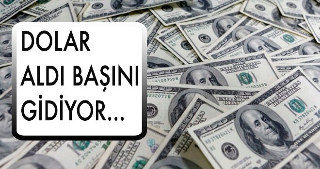 Dolar aldı başını gidiyor