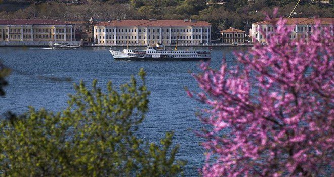 Erguvanlar İstanbul'u süslüyor