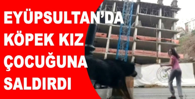 EYÜPSULTAN’DA  KÖPEK KIZ  ÇOCUĞUNA  SALDIRDI