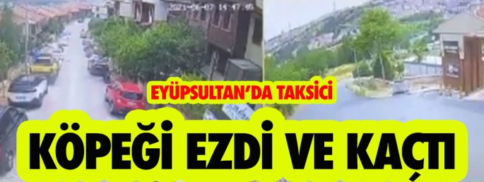 EYÜPSULTAN’DA TAKSİCİ KÖPEĞİ EZDİ VE KAÇTI