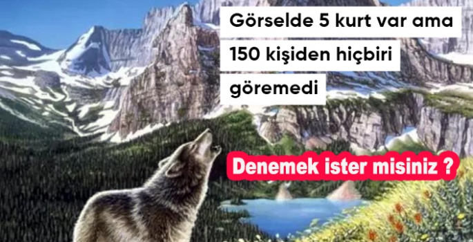 Görselde 5 kurt var ama 150 kişiden hiçbiri göremedi