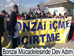 Bonzai mücadelesinde dev adım