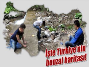 Bonzaiyi en çok gençler kullanıyor