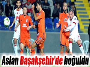 Aslan Başakşehir'de boğuldu