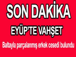 EYÜP'TE VAHŞET