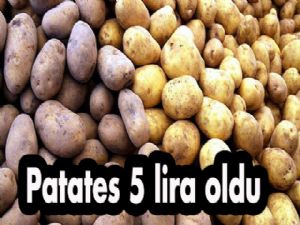 Patates 5 lira oldu
