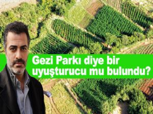 Gezi Parkı diye bir uyuşturucu mu bulundu?