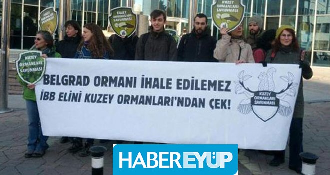 Kuzey Ormanları Savunması Dekovil İhalesini Protesto Etti