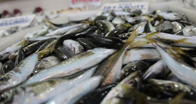 Marmara Denizi'nde balık az olunca fiyatlar düşmedi