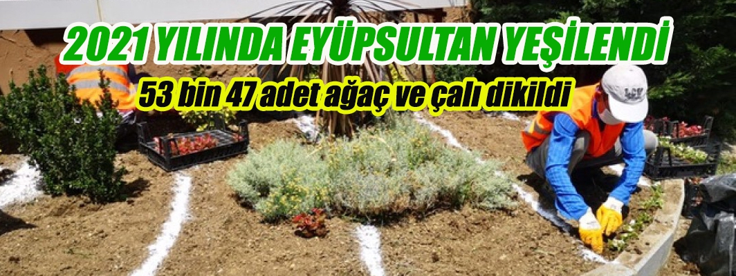 2021 YILINDA EYÜPSULTAN YEŞİLENDİ