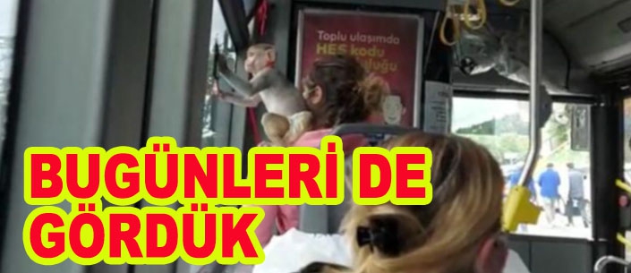 Alibeyköy'de, İETT otobüsüne maymunuyla bindi