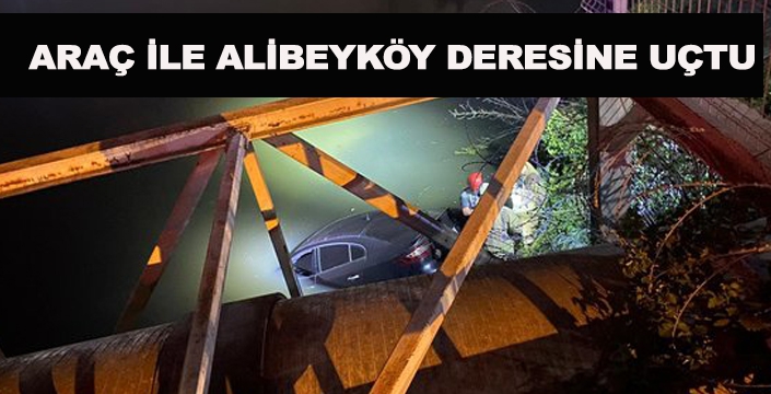  ARAÇ İLE ALİBEYKÖY DERESİNE UÇTU