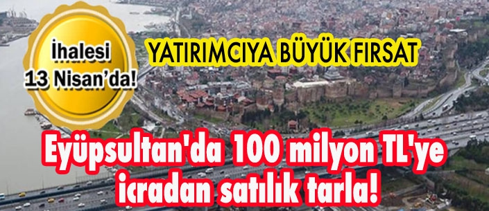 Eyüpsultan'da 100 milyon TL'ye  icradan satılık tarla!