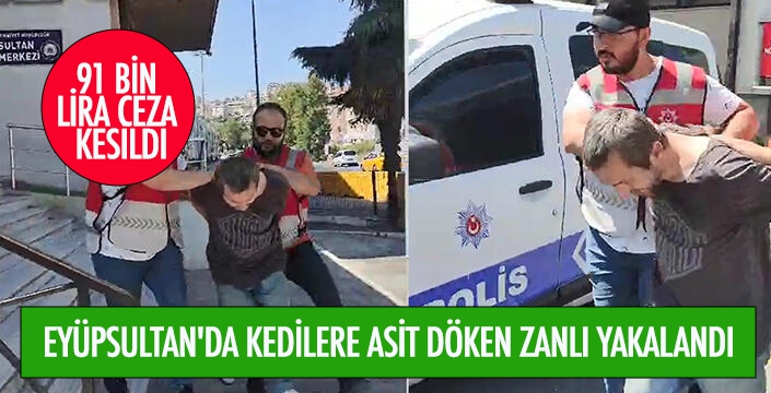 EYÜPSULTAN'DA KEDİLERE ASİT DÖKEN ZANLI YAKALANDI