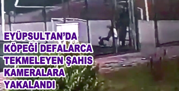 EYÜPSULTAN’DA  KÖPEĞİ DEFALARCA  TEKMELEYEN ŞAHIS  KAMERALARA  YAKALANDI