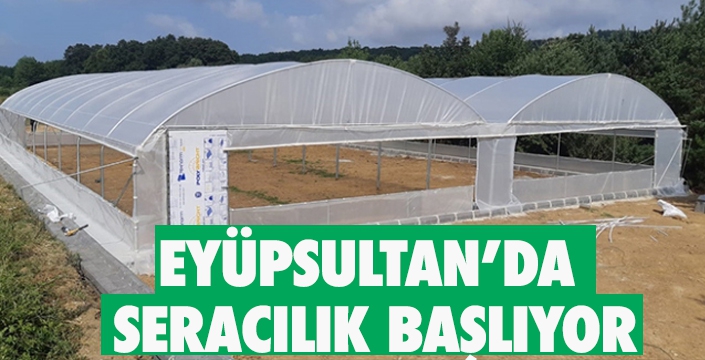 EYÜPSULTAN’DA  SERACILIK BAŞLIYOR