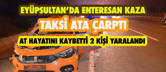 EYÜPSULTAN'DA TAKSİ ATA ÇARPTI