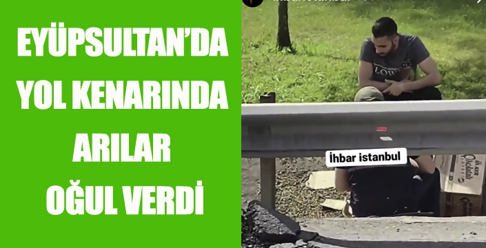 EYÜPSULTAN’DA YOL KENARINDA ARILAR OĞUL VERDİ