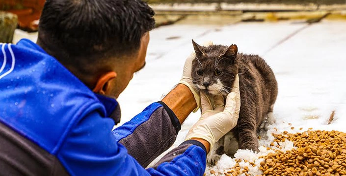 Gaziosmanpaşa Belediyesi Mama Desteği İle Can Dostlarımızın Yanında