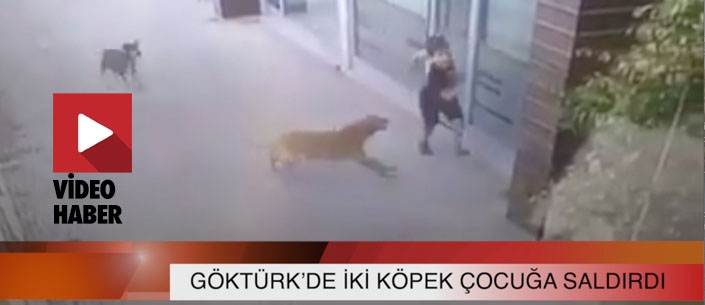 GÖKTÜRK’DE İKİ KÖPEK UFAK ÇOCUĞA SALDIRDI