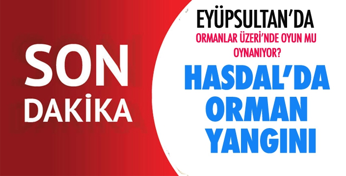 HASDAL'DA ORMAN YANGINI