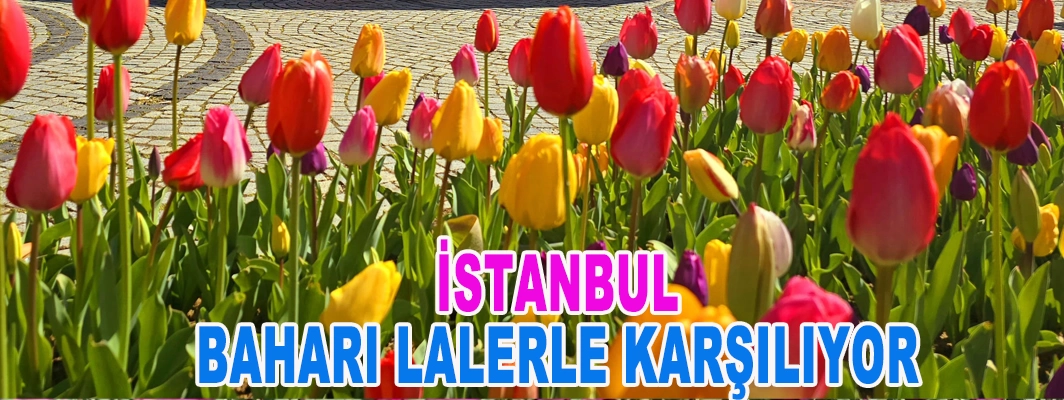 İSTANBUL, BAHARI LALERLE KARŞILIYOR