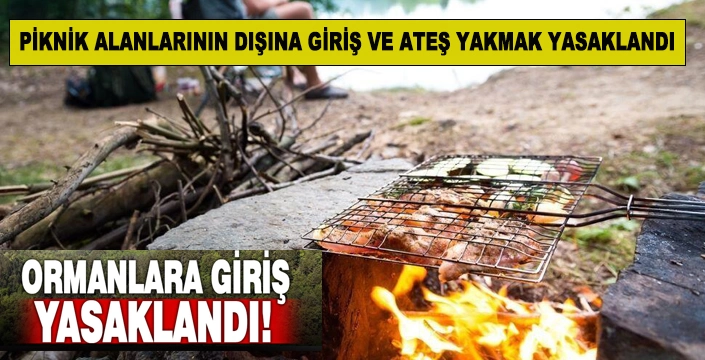 İstanbul’da ormanlara giriş ve ateş yakmak yasaklandı