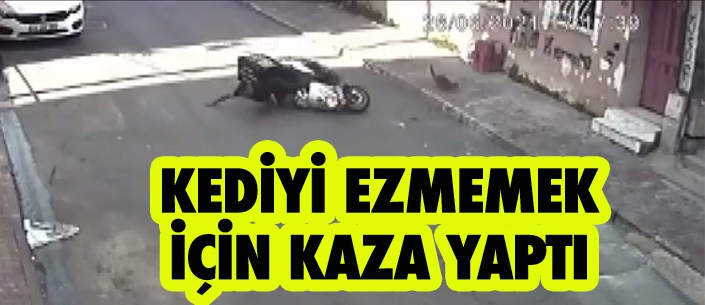 KEDİYİ EZMEMEK İÇİN KAZA YAPTI